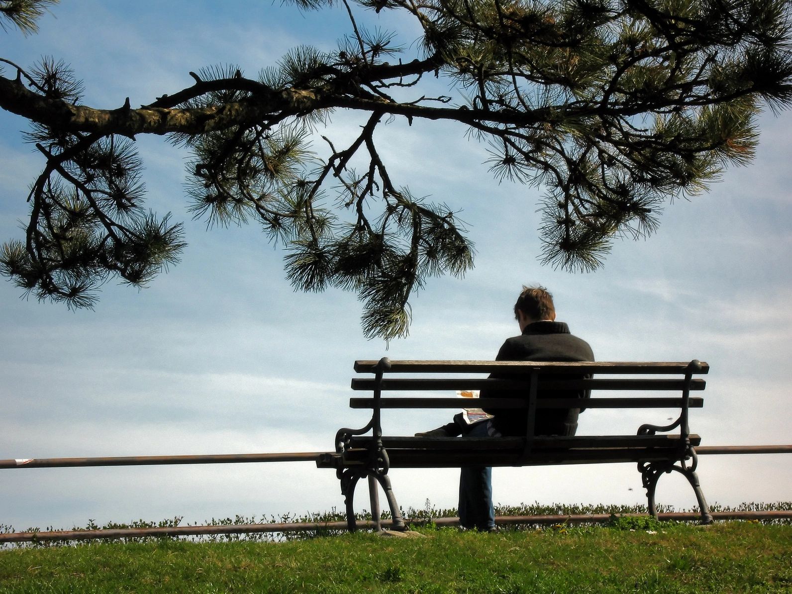Person sitting on bench overlooking scenic waterfront